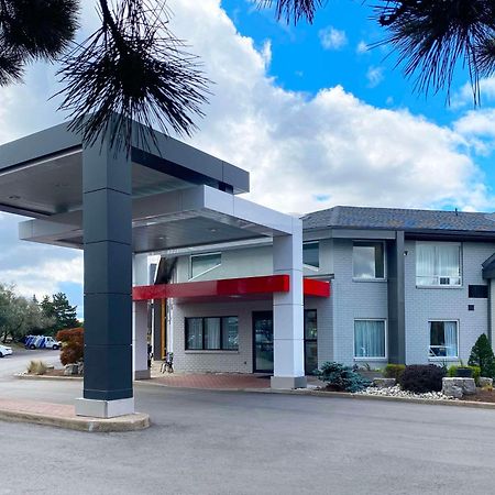 Comfort Inn Dryden Exteriör bild