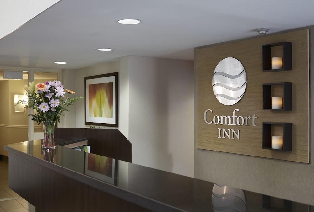 Comfort Inn Dryden Exteriör bild
